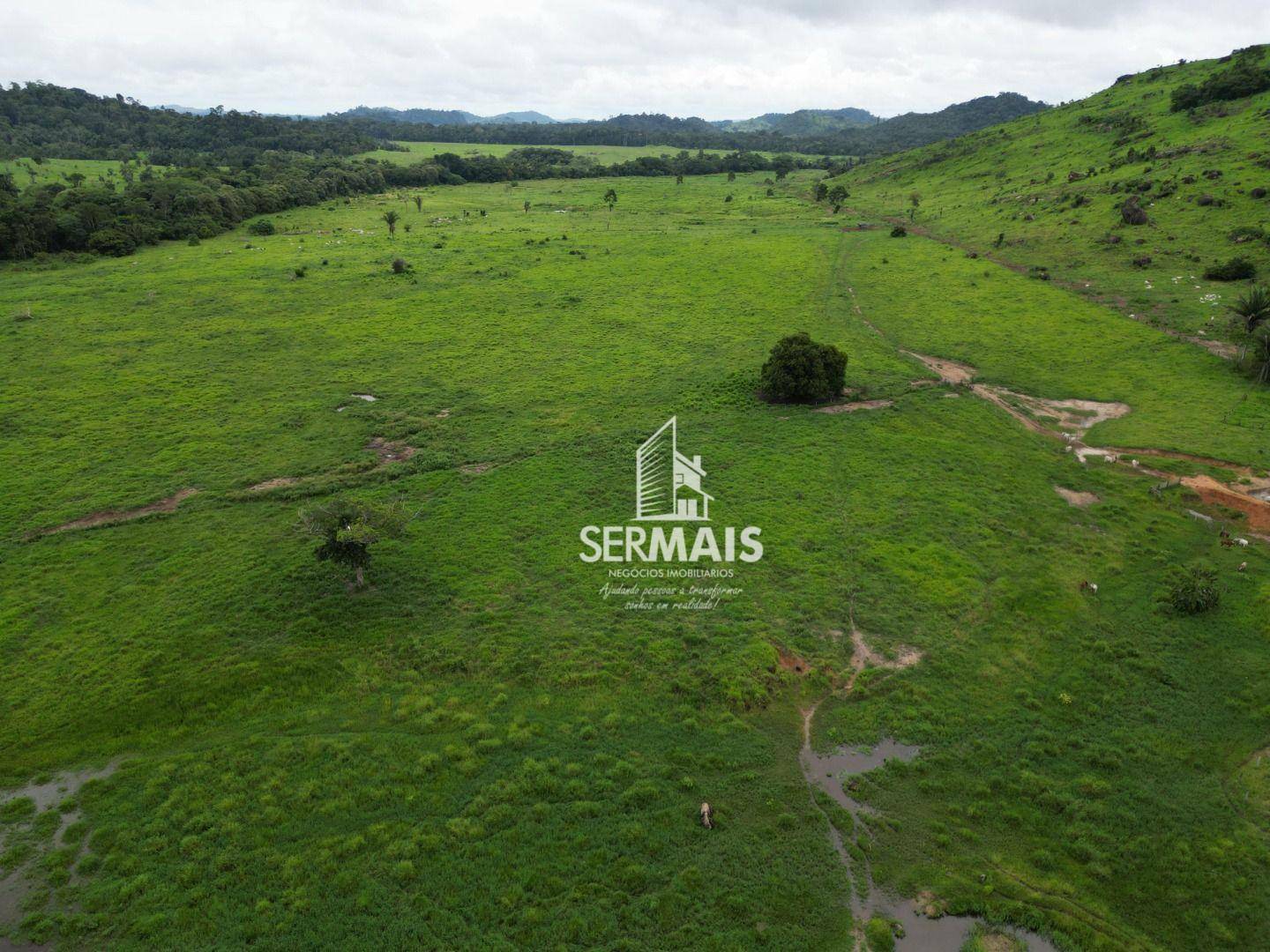 Fazenda à venda, 5445000M2 - Foto 8