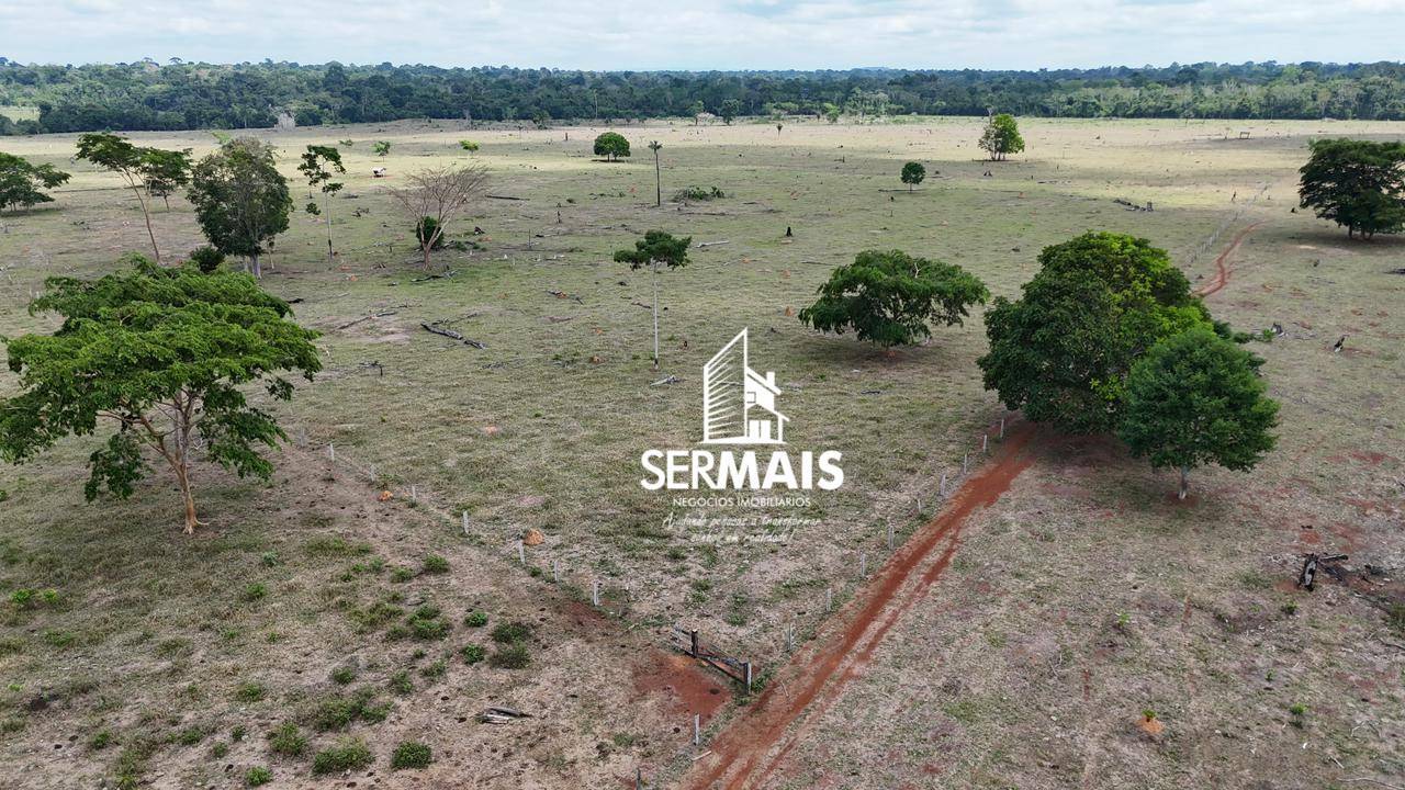 Fazenda-Sítio-Chácara, 542 hectares - Foto 9