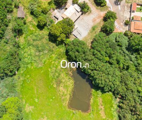 Terreno, 6000 m² - Foto 4