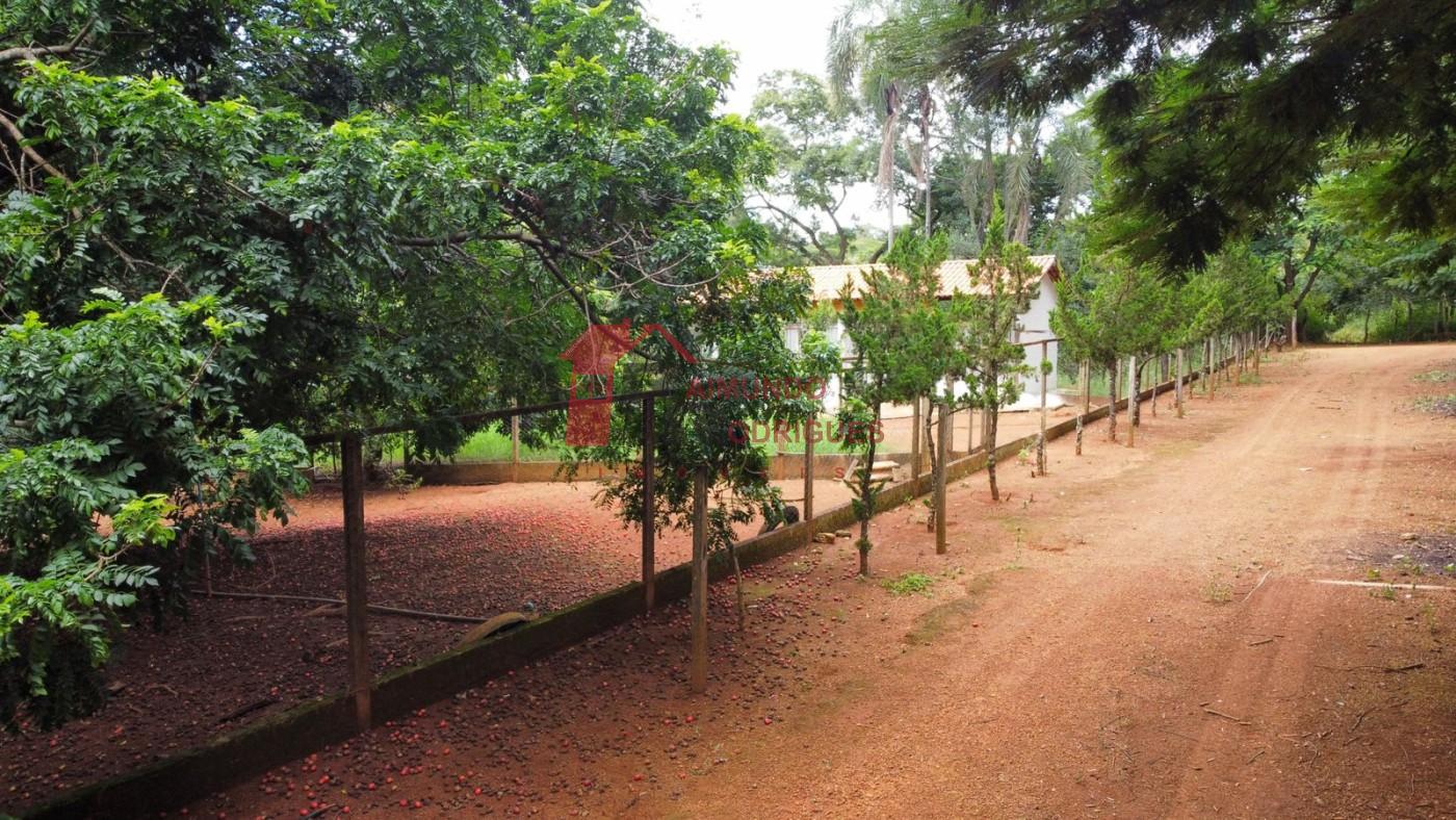 Fazenda-Sítio-Chácara, 50 m² - Foto 13