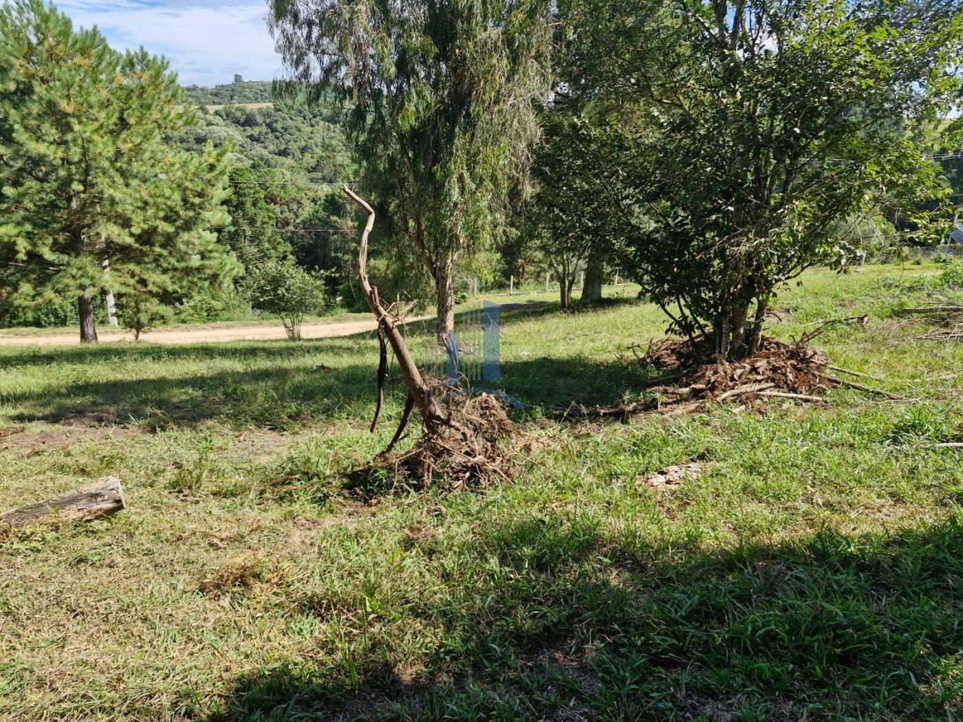 Terreno à venda, 1000m² - Foto 11