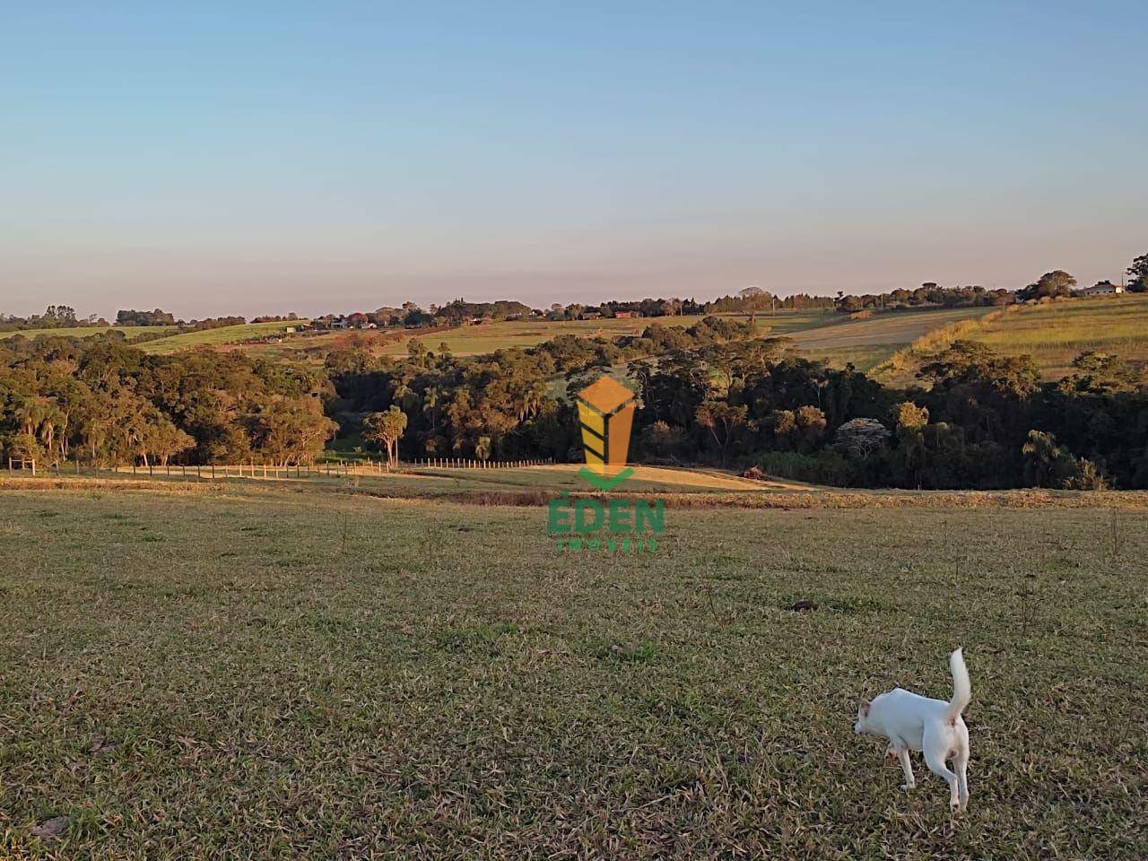 Sítio à venda com 2 quartos, 31000M2 - Foto 12