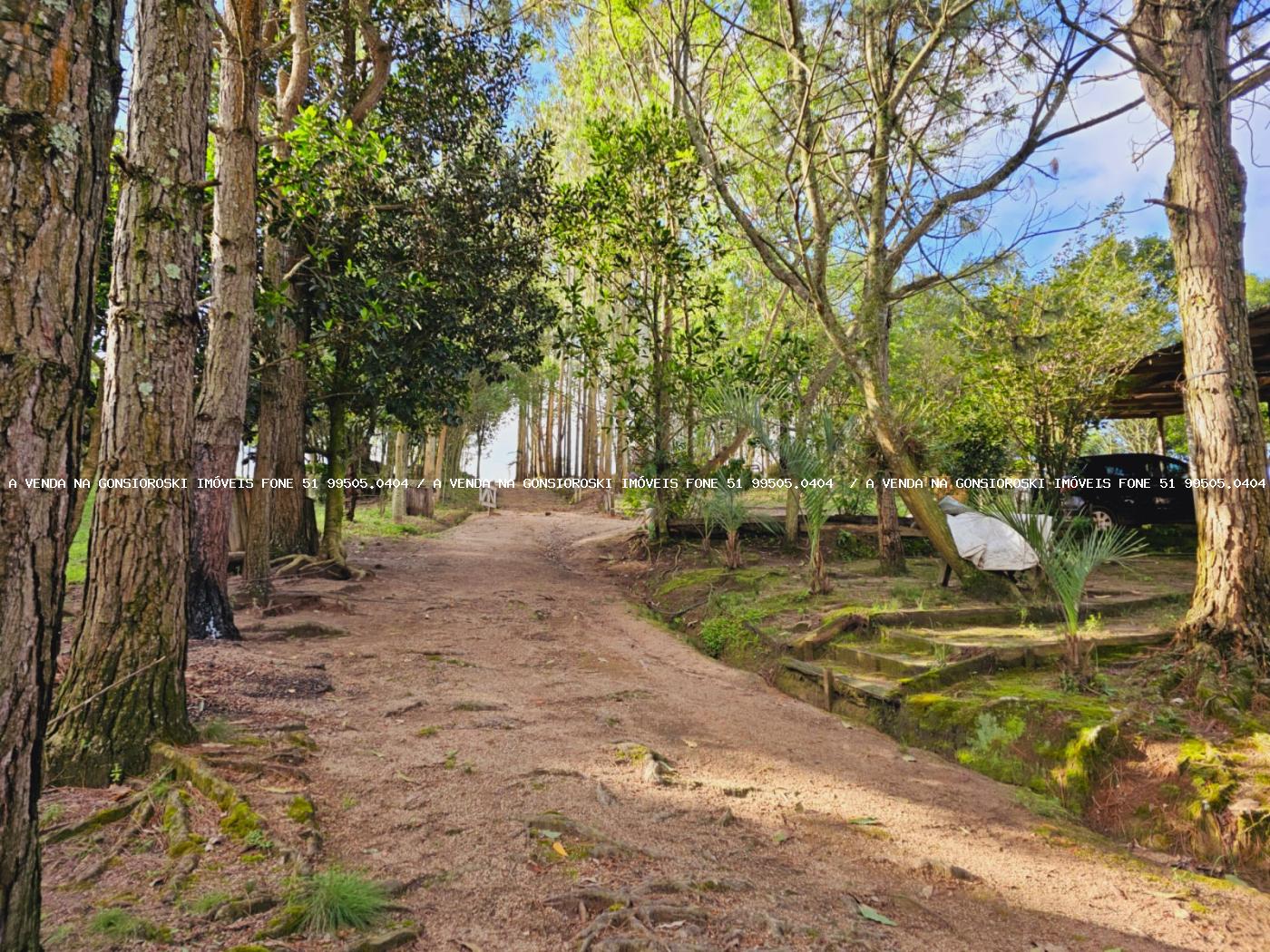 Sítio à venda, 30000m² - Foto 20