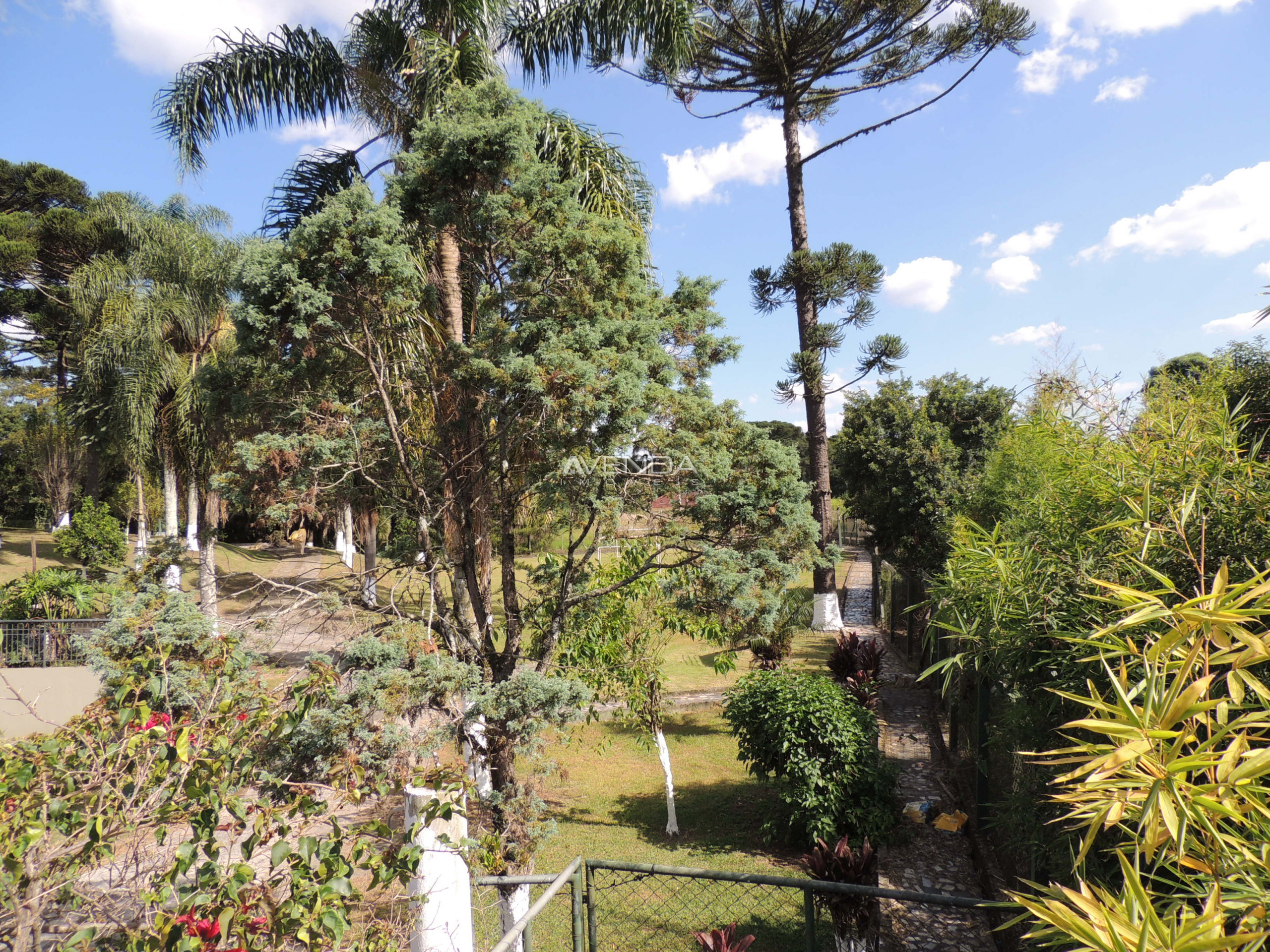 Fazenda à venda com 4 quartos, 1100m² - Foto 13