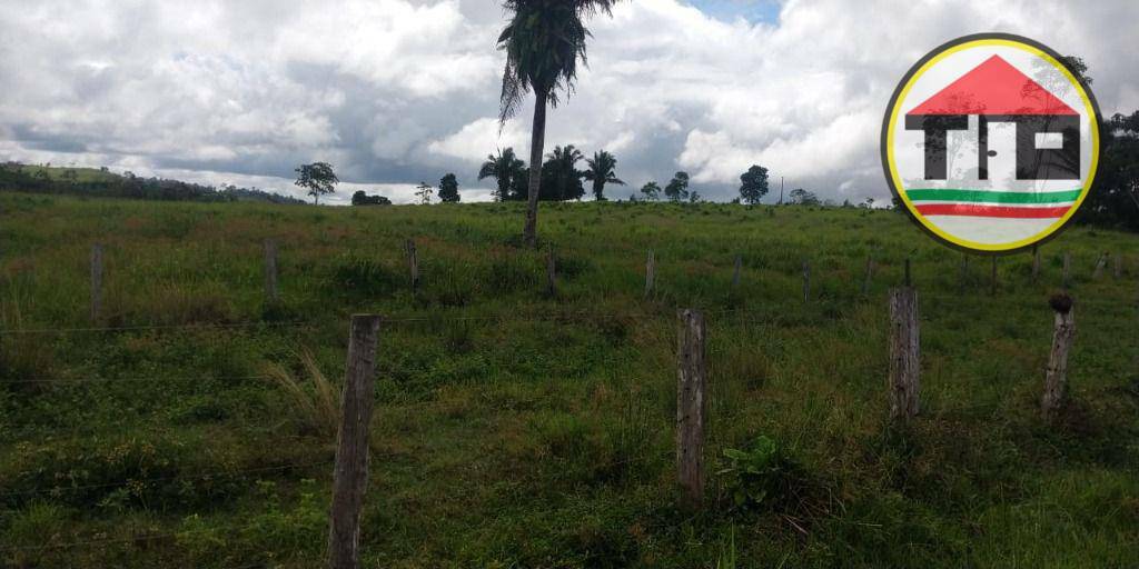 Fazenda, 145 hectares - Foto 11