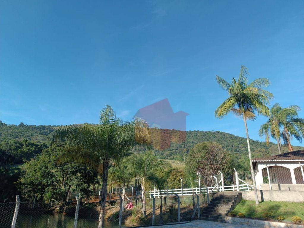 Sítio, 10 hectares - Foto 54