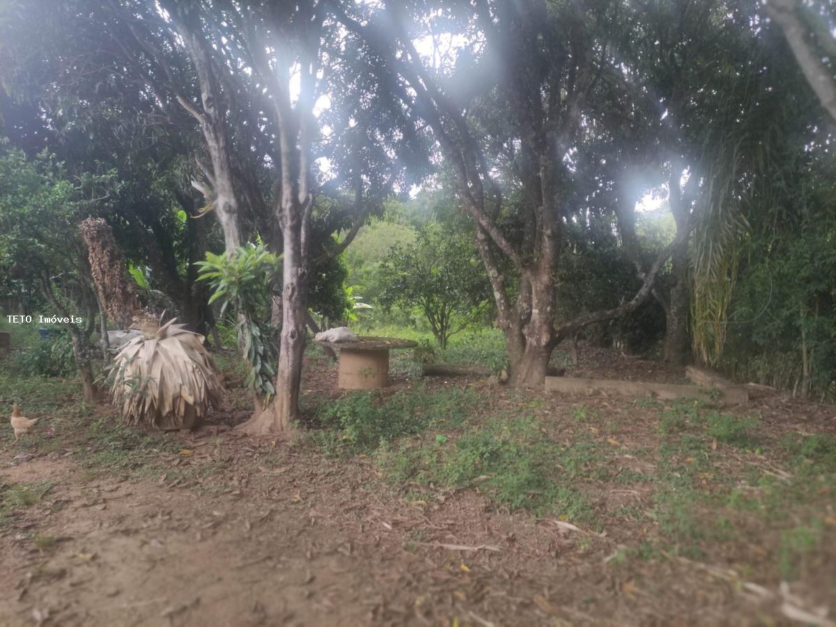 Fazenda à venda com 2 quartos, 3000m² - Foto 5