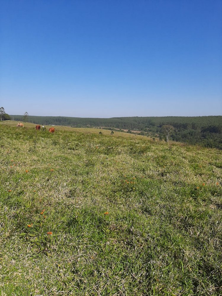 Fazenda à venda, 50m² - Foto 1