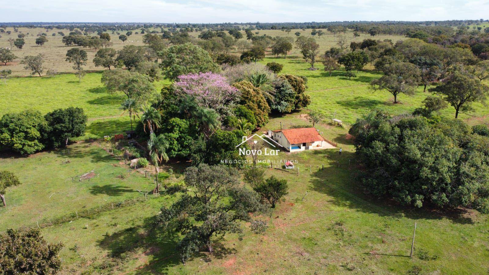 Sítio, 2 quartos, 6 hectares - Foto 3