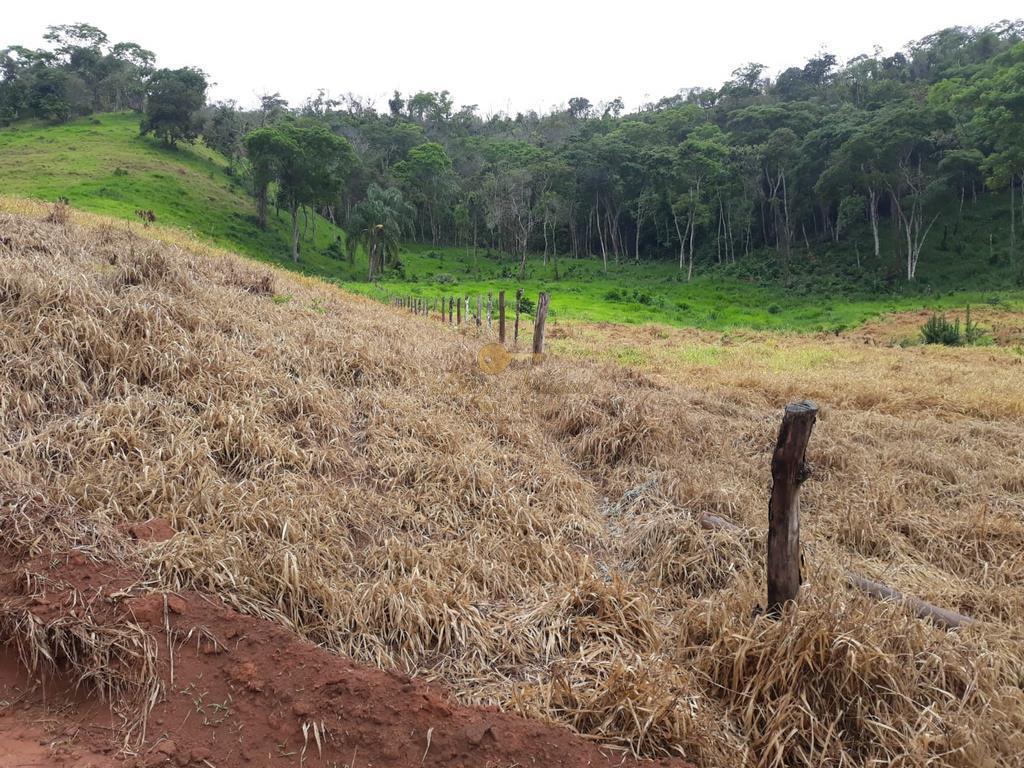Sítio à venda com 5 quartos, 170000m² - Foto 20