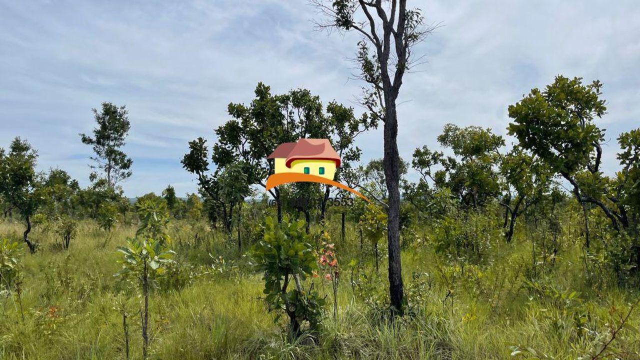 Fazenda, 1 m² - Foto 2