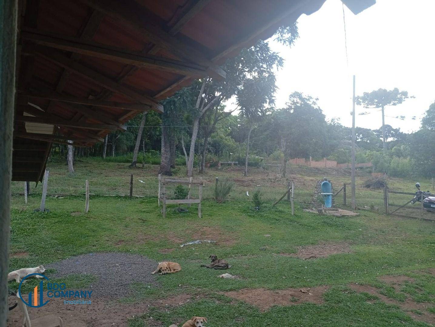 Chácara, 2 quartos, 5445 m² - Foto 6