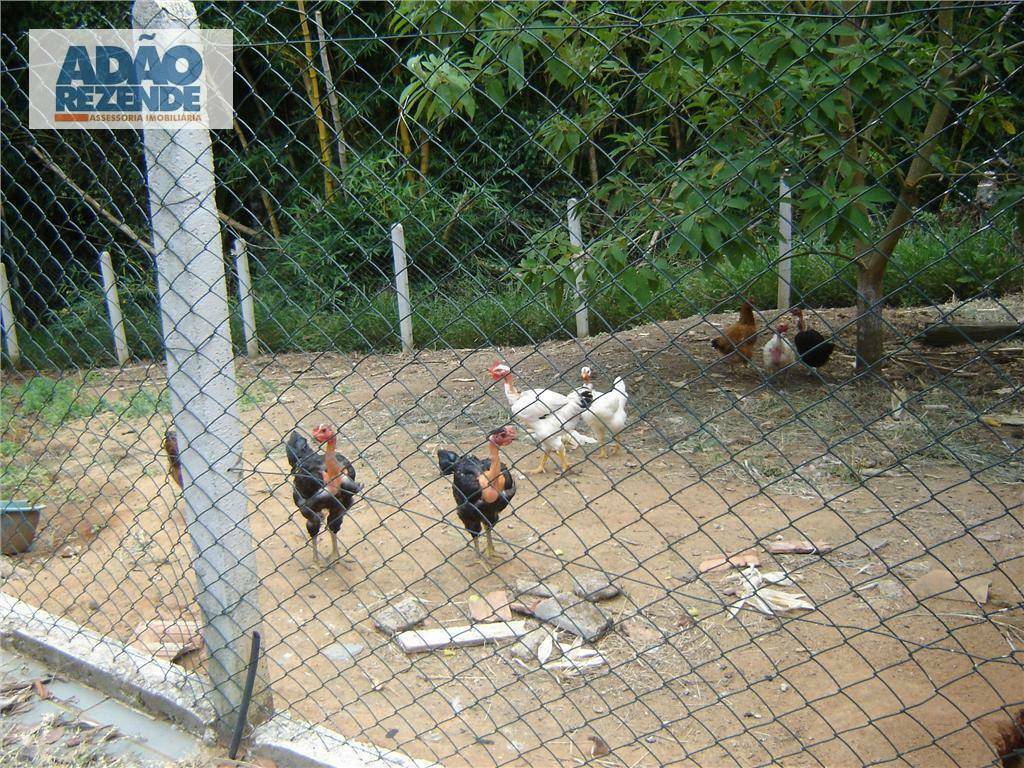 Fazenda à venda com 4 quartos, 1150000M2 - Foto 37