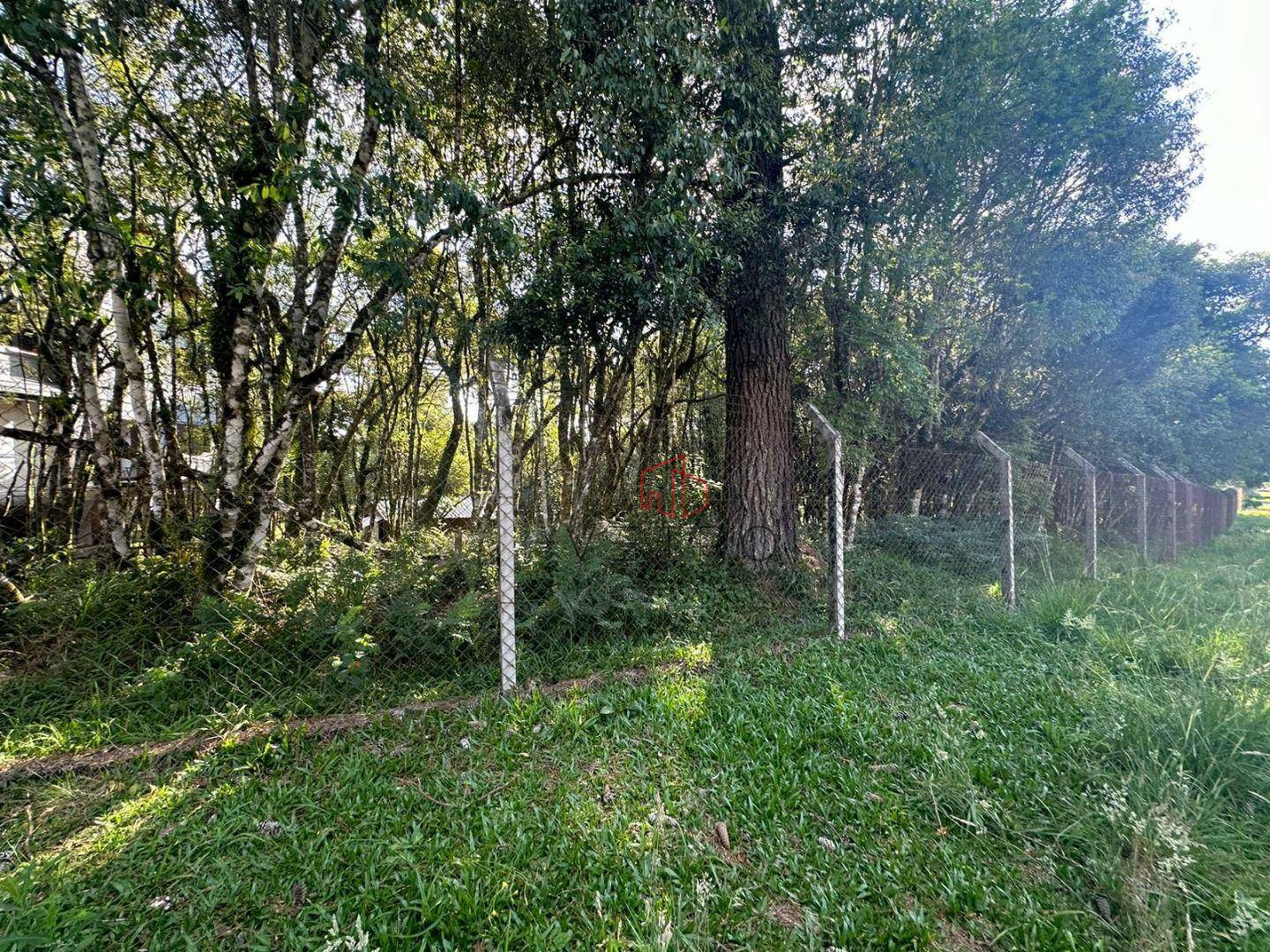 Terreno à venda, 1200M2 - Foto 8