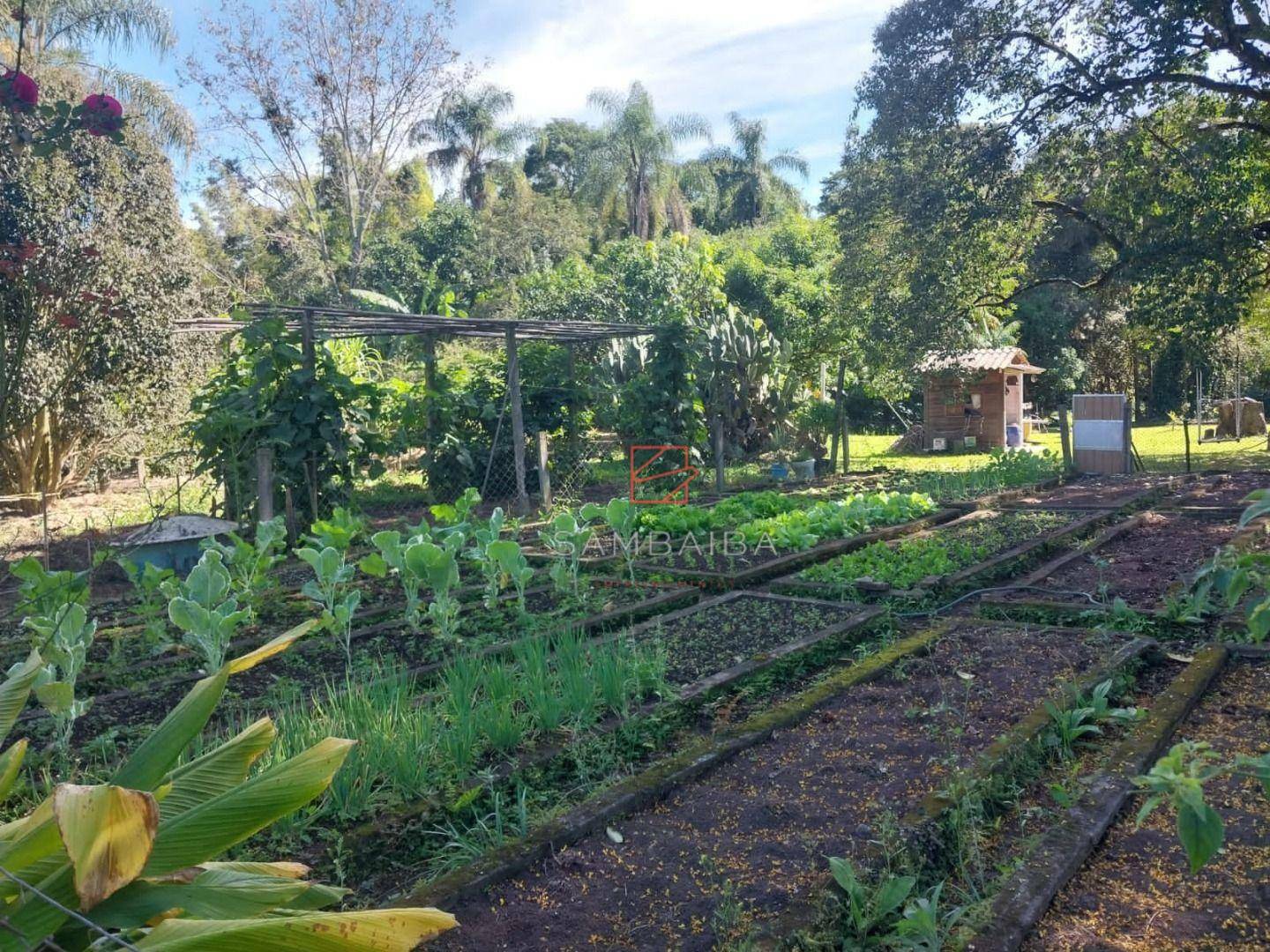 Sítio à venda com 3 quartos, 10000M2 - Foto 23