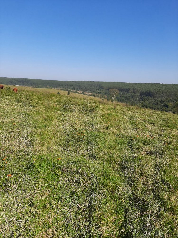 Fazenda à venda, 50m² - Foto 6