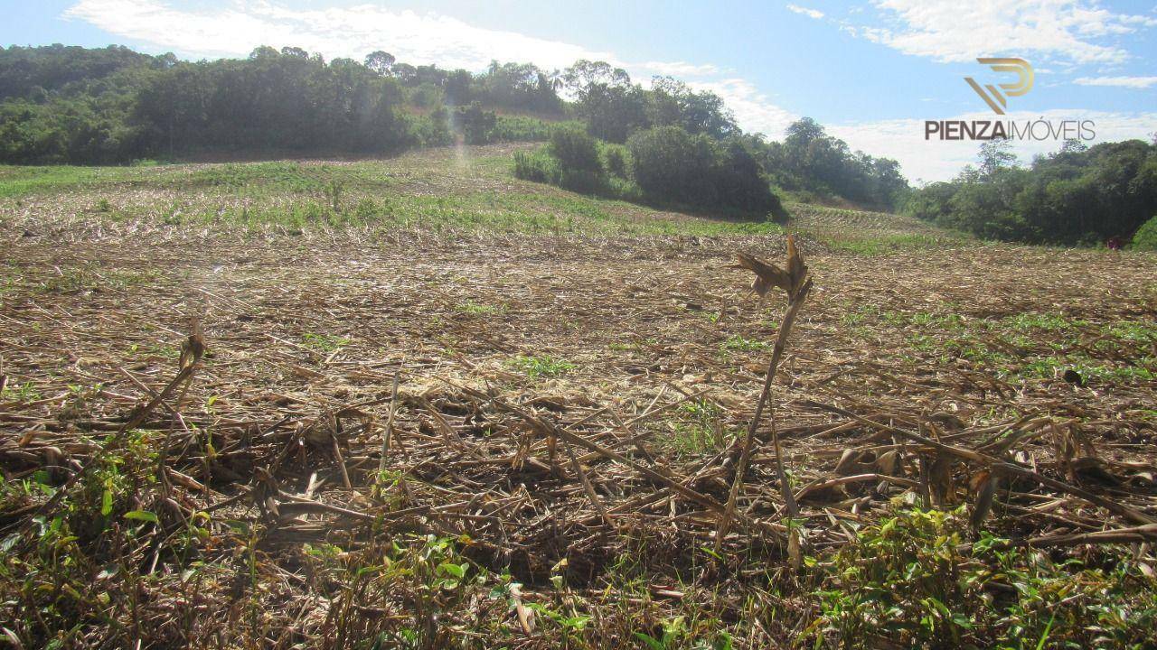 Terreno à venda, 199000M2 - Foto 13