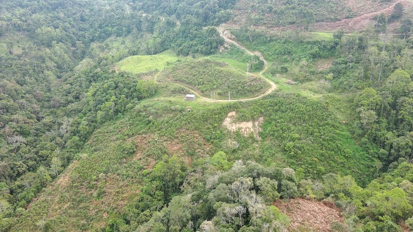 Fazenda à venda, 40000m² - Foto 14