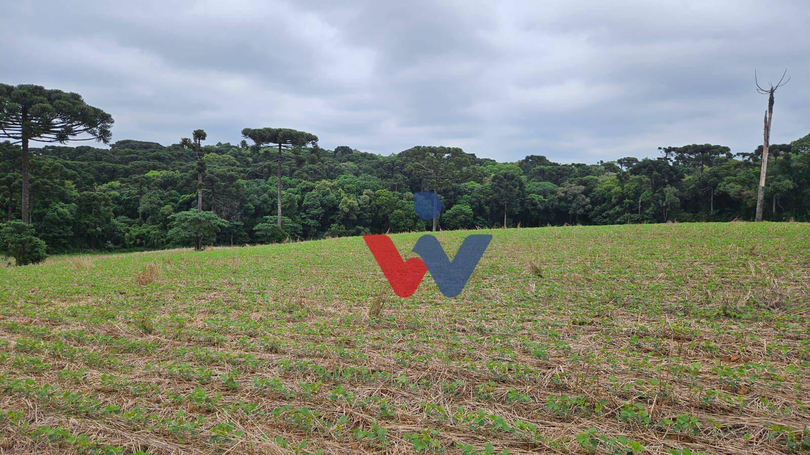 Fazenda à venda com 3 quartos, 1694000M2 - Foto 34