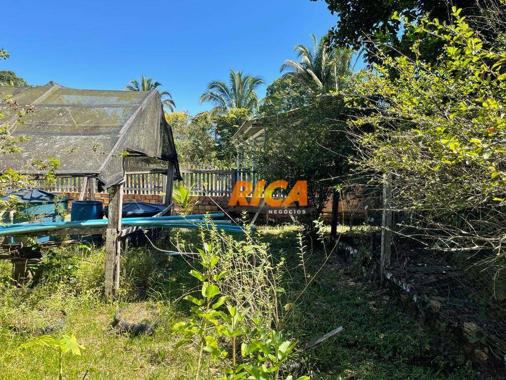 Chácara, 3 quartos, 2 hectares - Foto 14