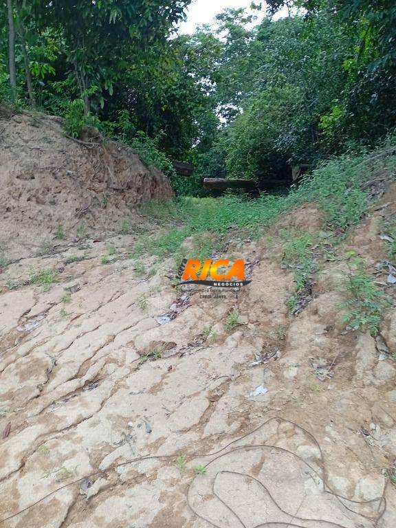 Chácara, 6 hectares - Foto 24