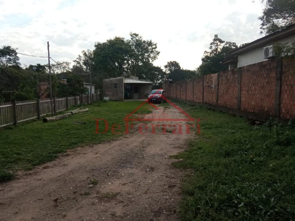 Sítio, 2 quartos, 800 m² - Foto 1