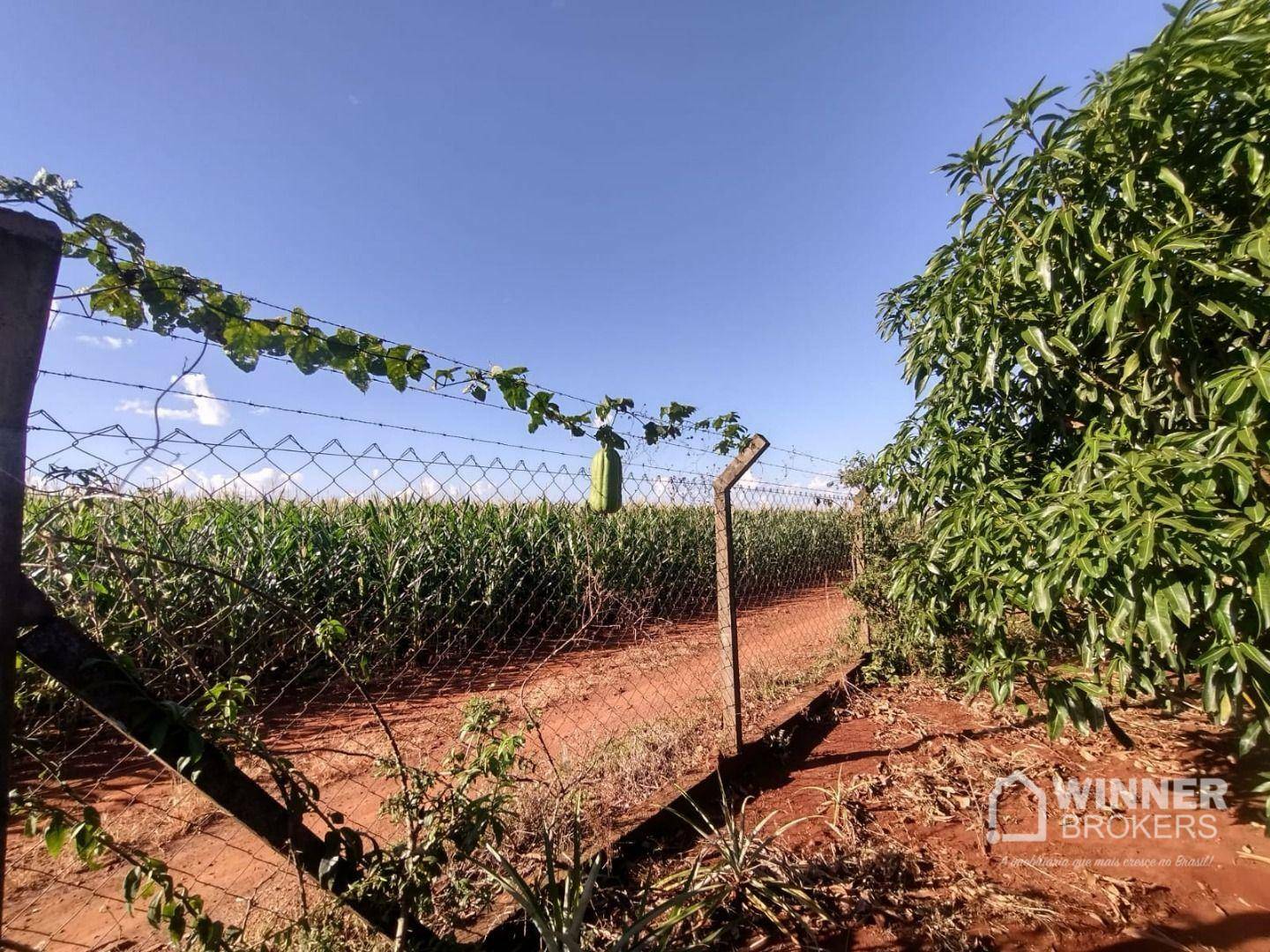 Chácara à venda com 3 quartos, 2000M2 - Foto 28