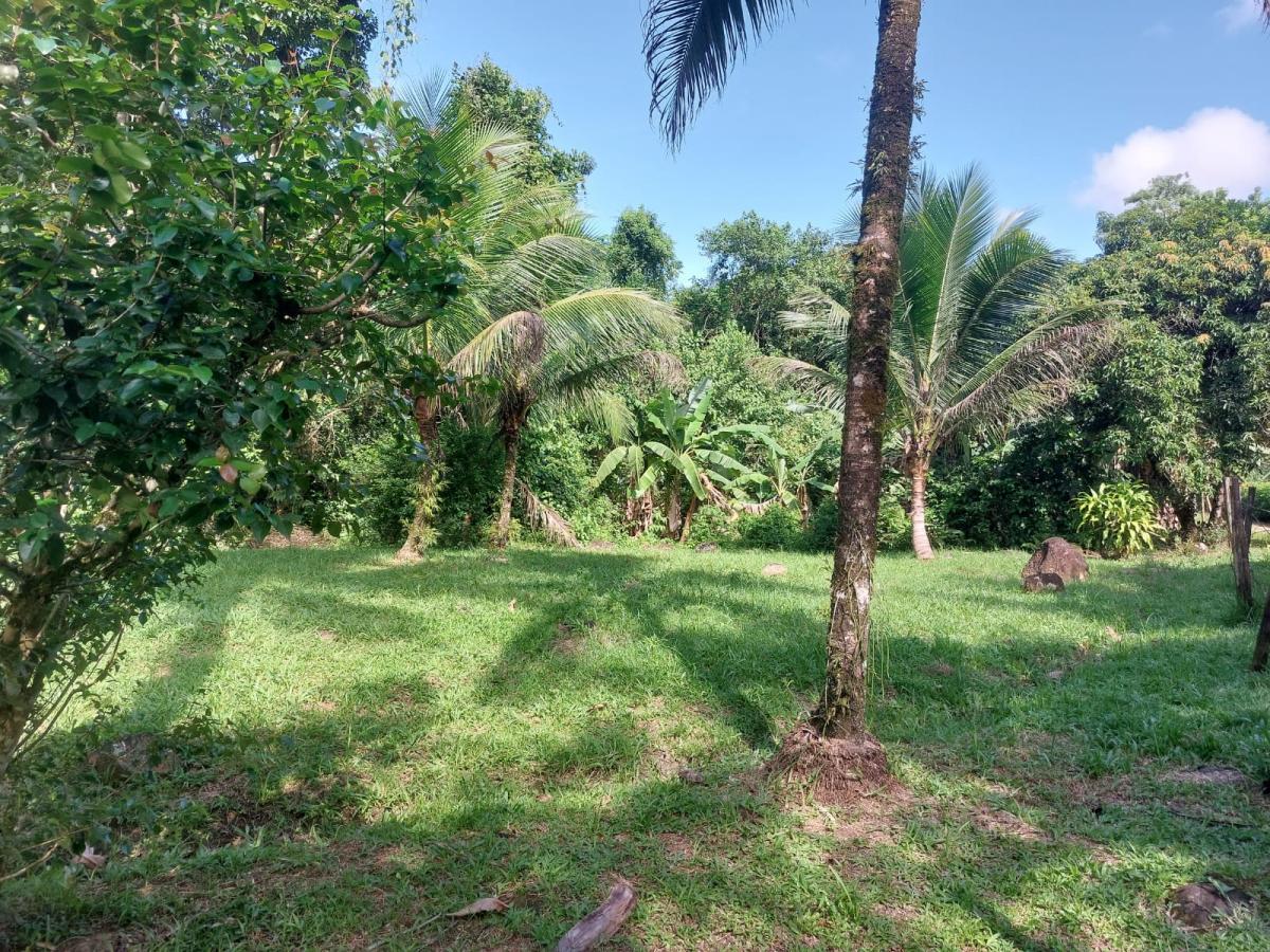 Fazenda à venda com 3 quartos, 68000m² - Foto 13