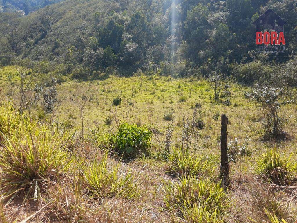 Terreno à venda, 500M2 - Foto 4