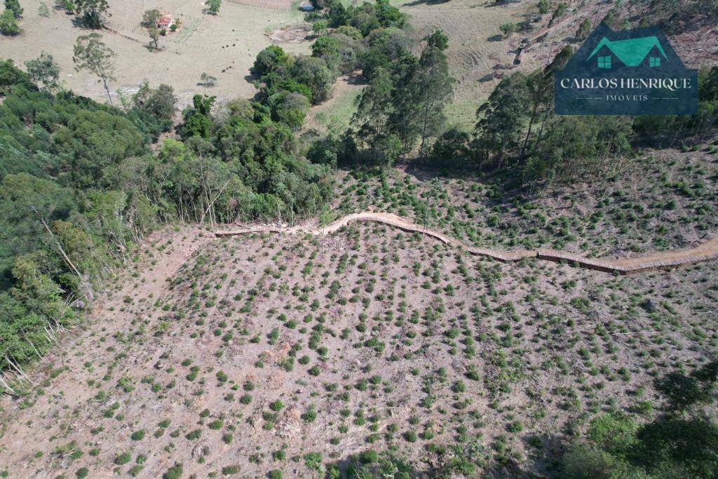 Terreno à venda, 32000M2 - Foto 4