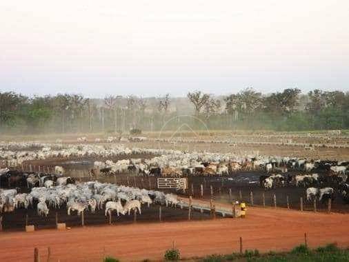 Fazenda à venda, 118290000M2 - Foto 20