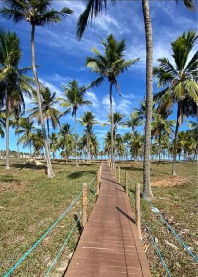 Terreno, 250 m² - Foto 10