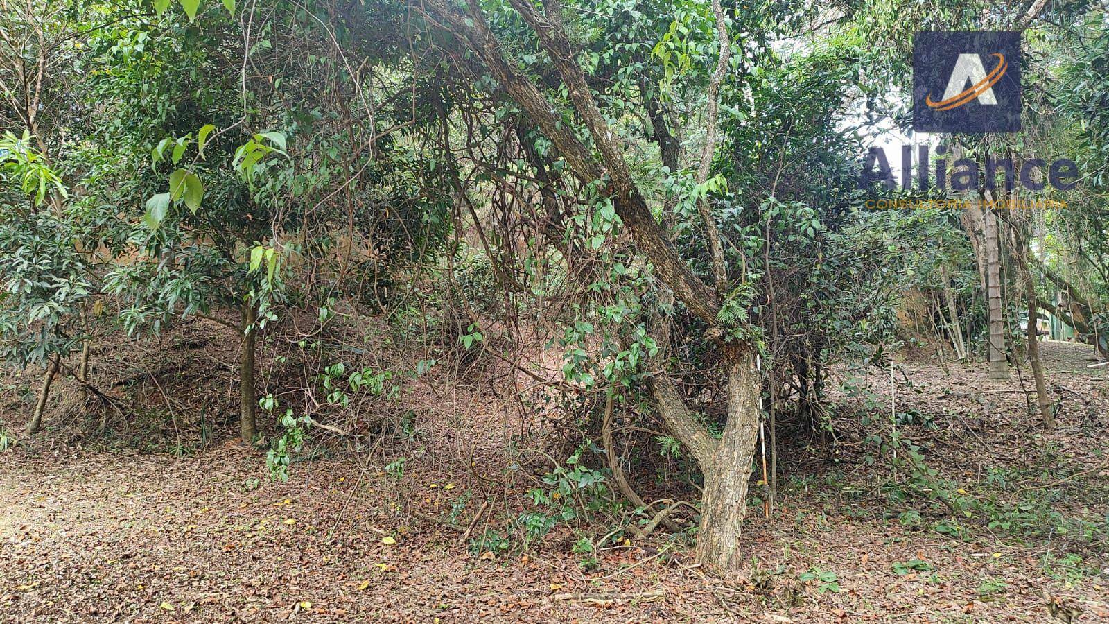 Terreno à venda, 1000M2 - Foto 10