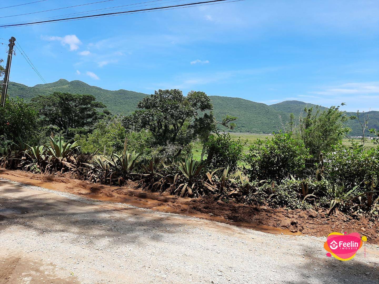 Terreno à venda, 20000M2 - Foto 4