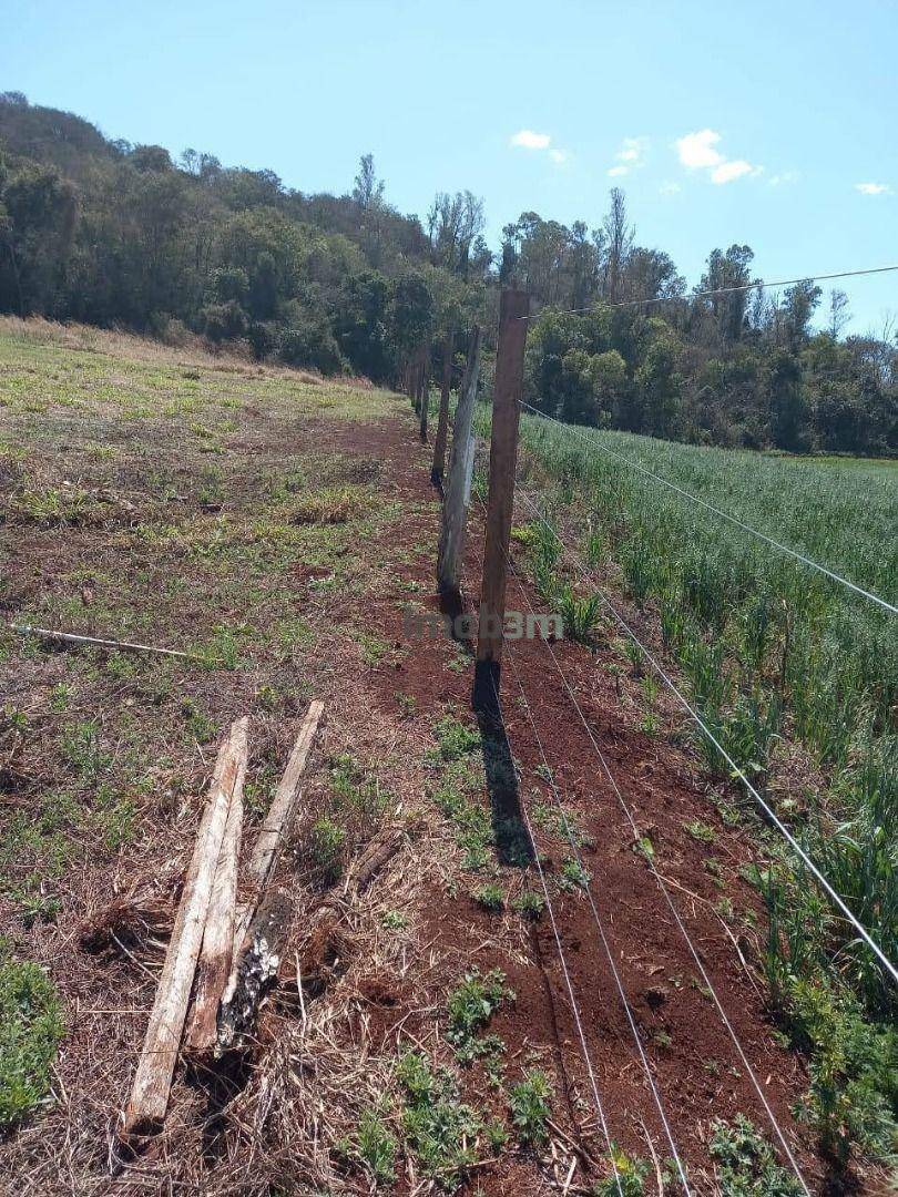 Terreno à venda, 1000M2 - Foto 4