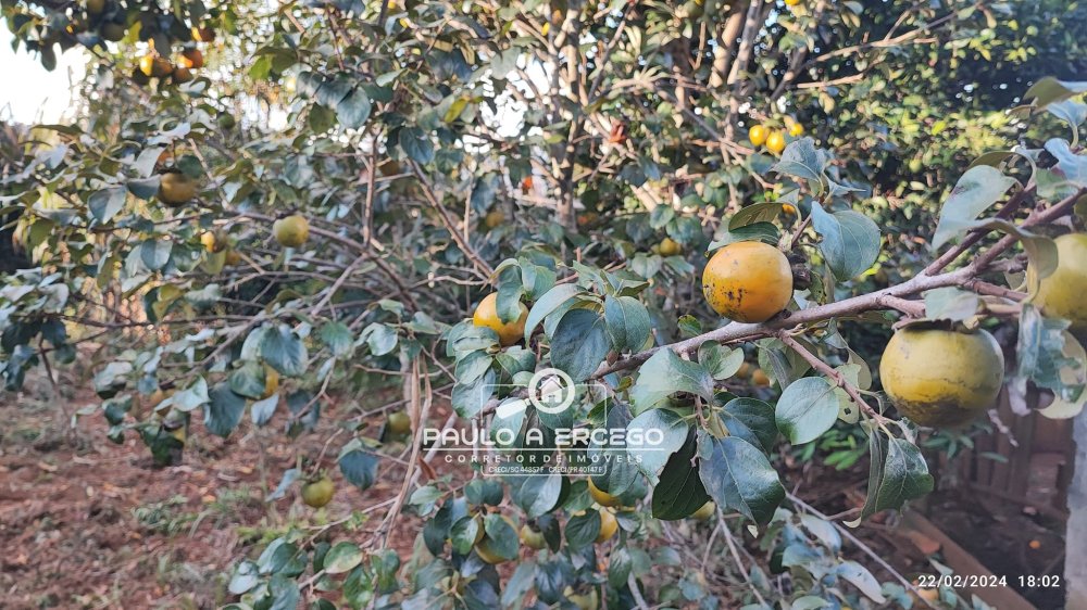 Casa, 2 quartos, 719 m² - Foto 15