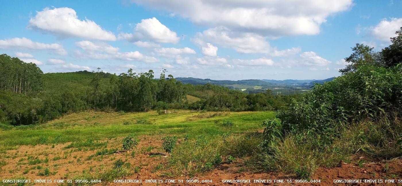 Loteamento e Condomínio à venda com 4 quartos, 370000m² - Foto 14