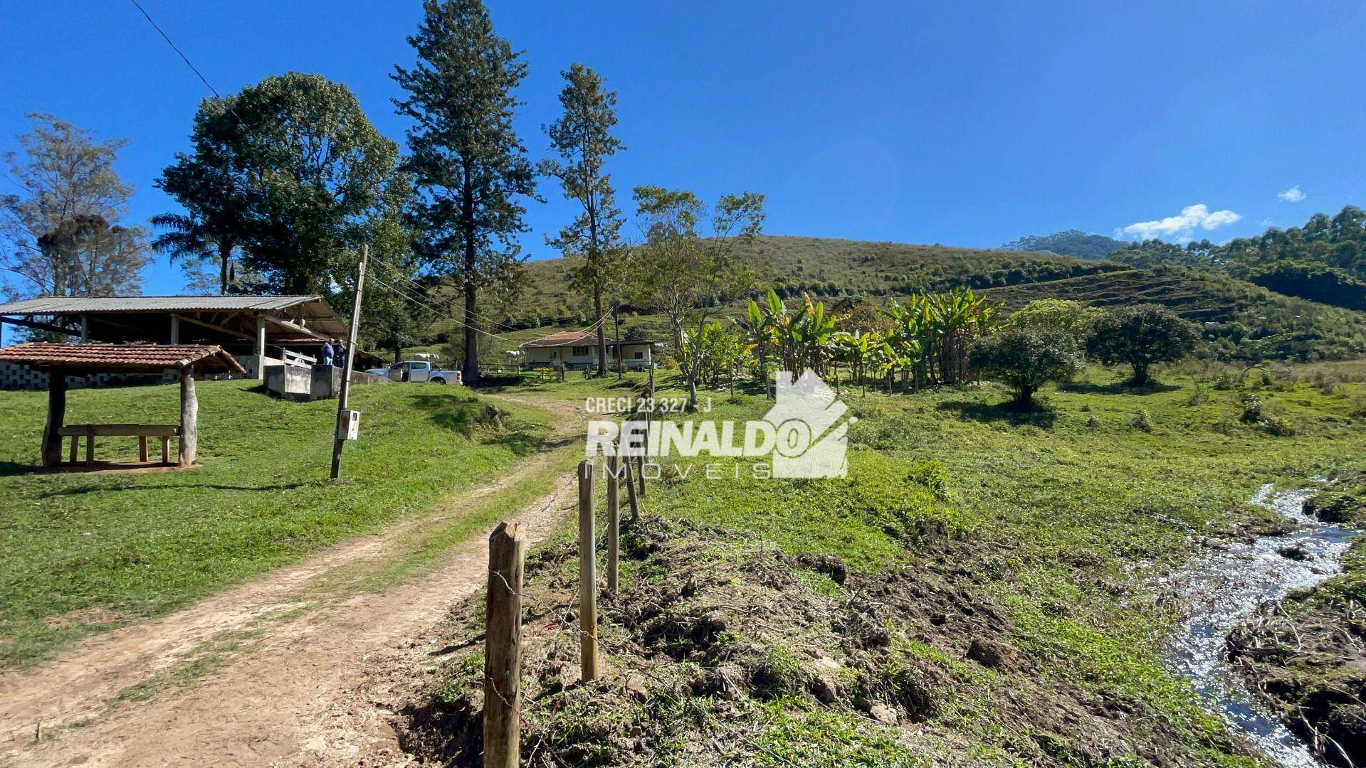 Fazenda à venda com 8 quartos, 900m² - Foto 14