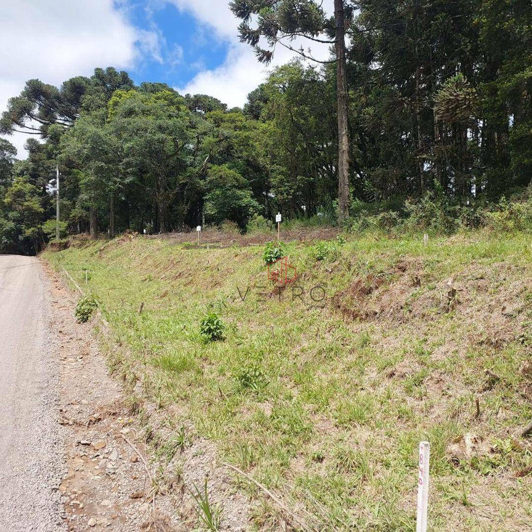 Terreno à venda, 407M2 - Foto 3