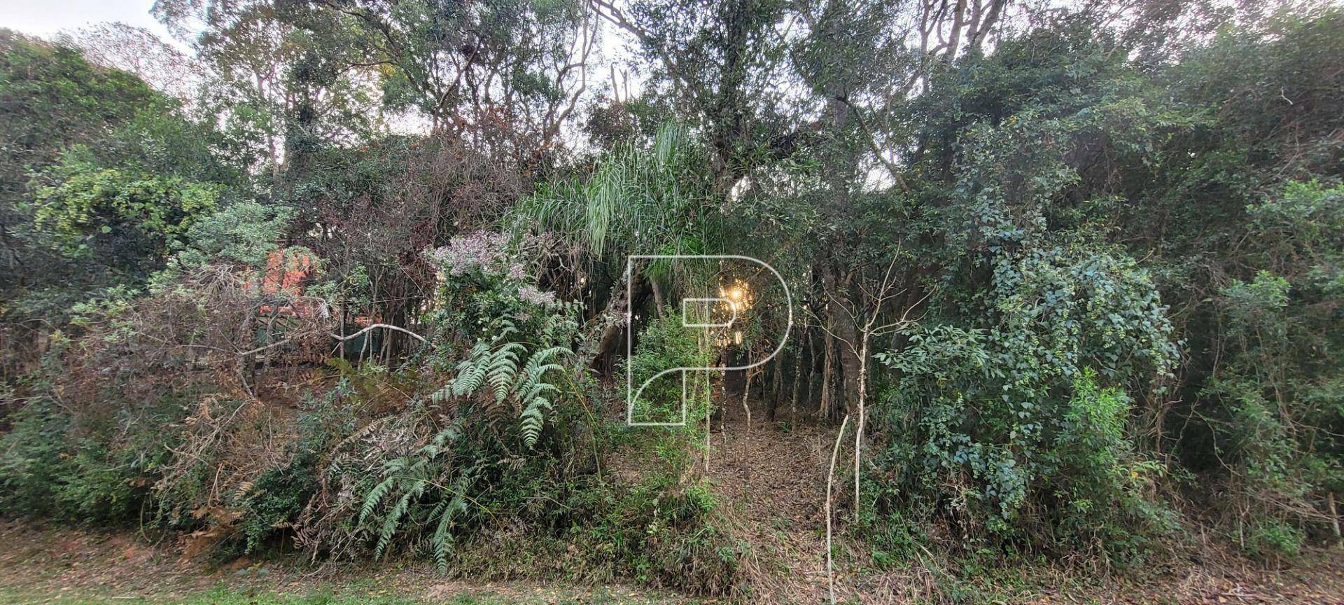 Loteamento e Condomínio à venda, 1500M2 - Foto 3