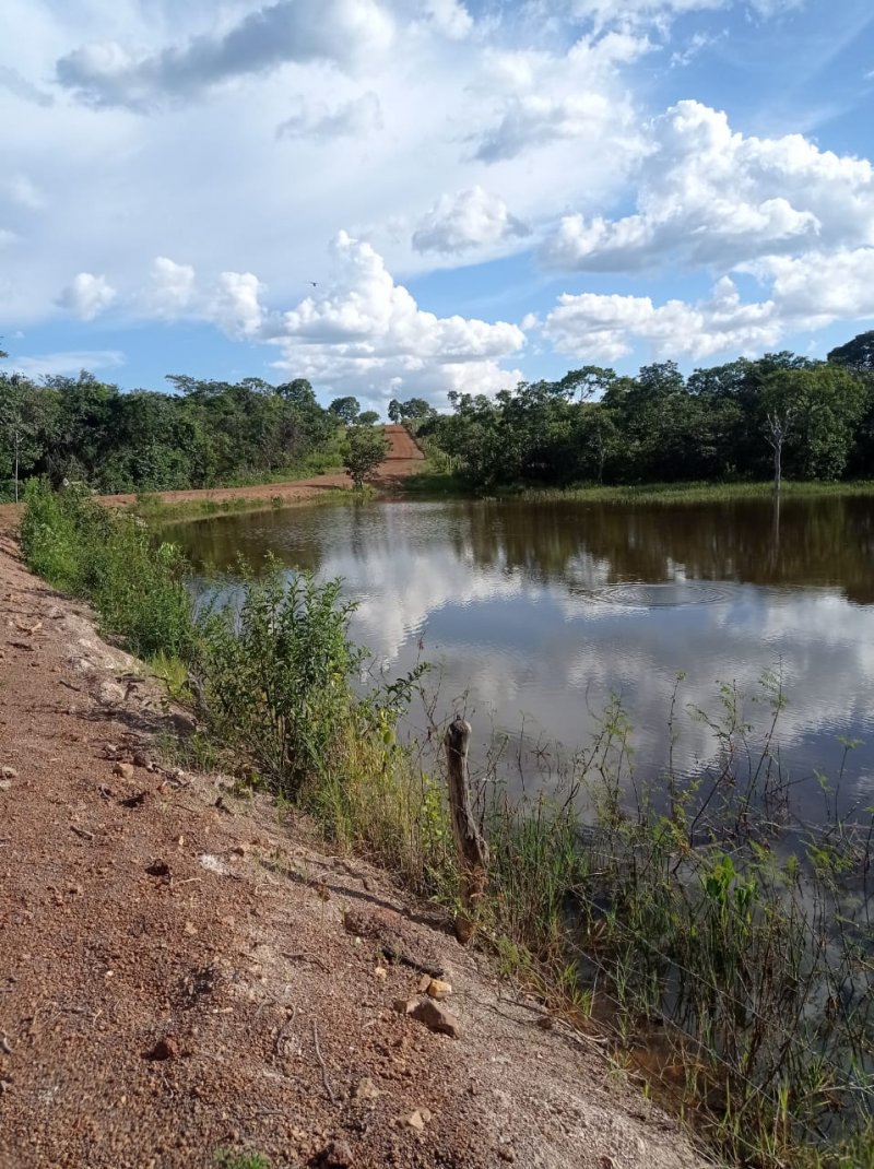 Fazenda à venda, 250m² - Foto 9