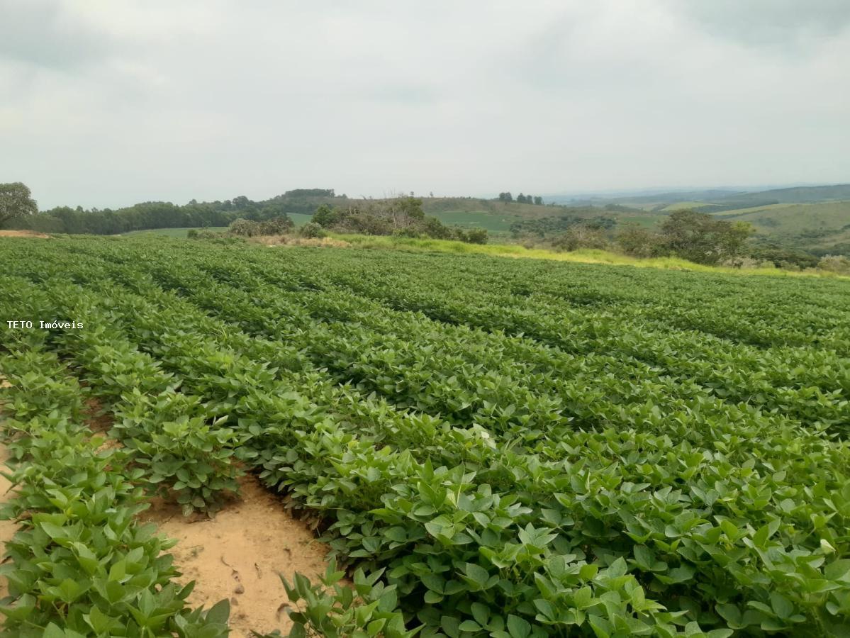 Fazenda à venda, 294m² - Foto 12