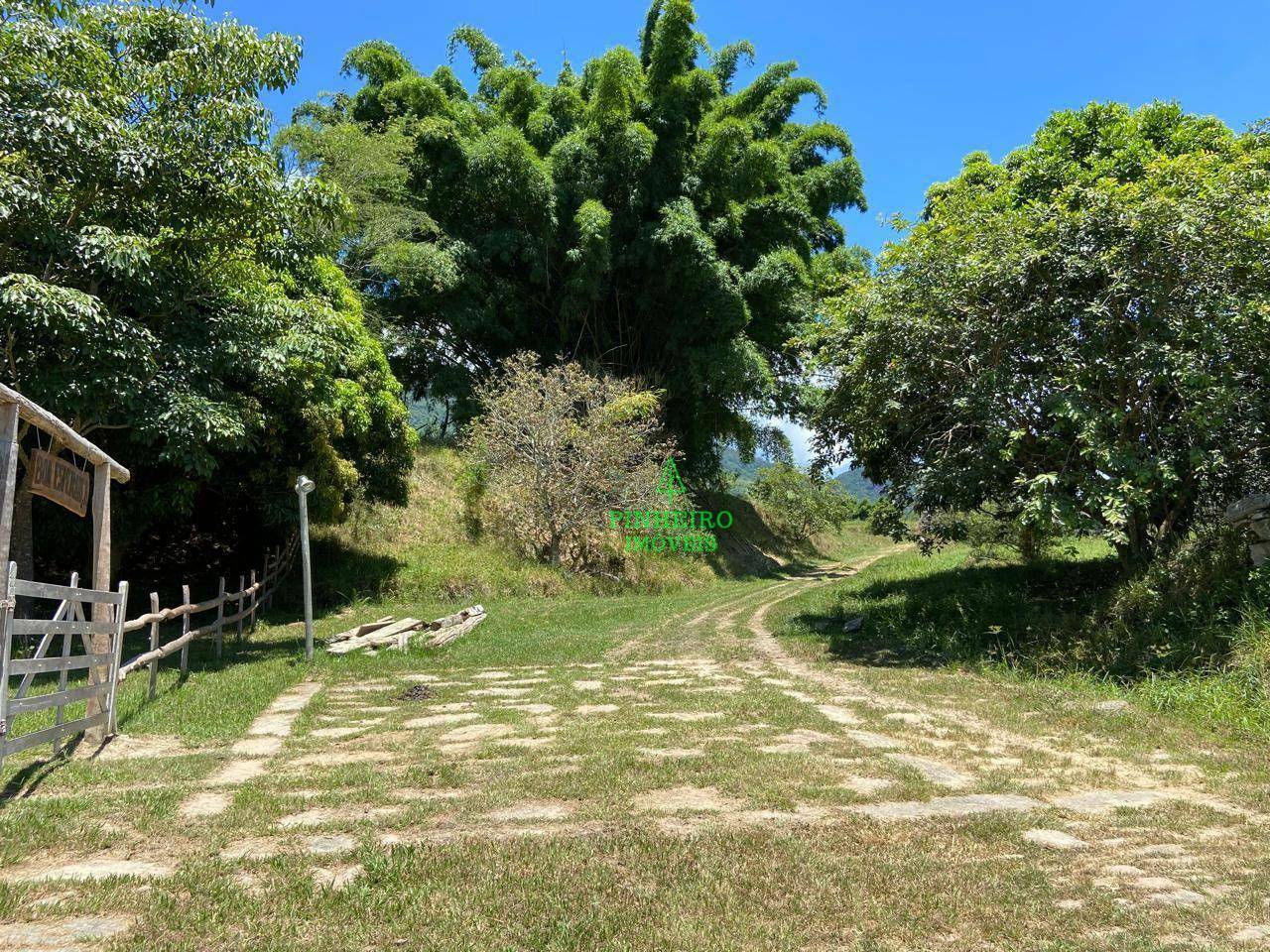 Fazenda à venda com 10 quartos, 1500m² - Foto 27