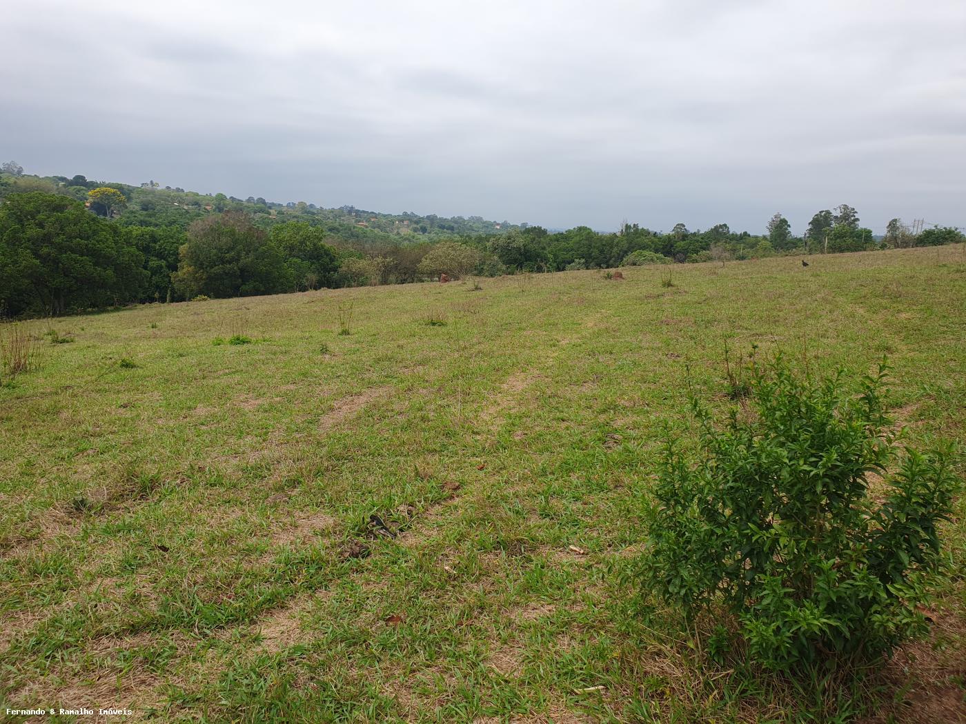 Fazenda à venda com 3 quartos, 80000m² - Foto 29