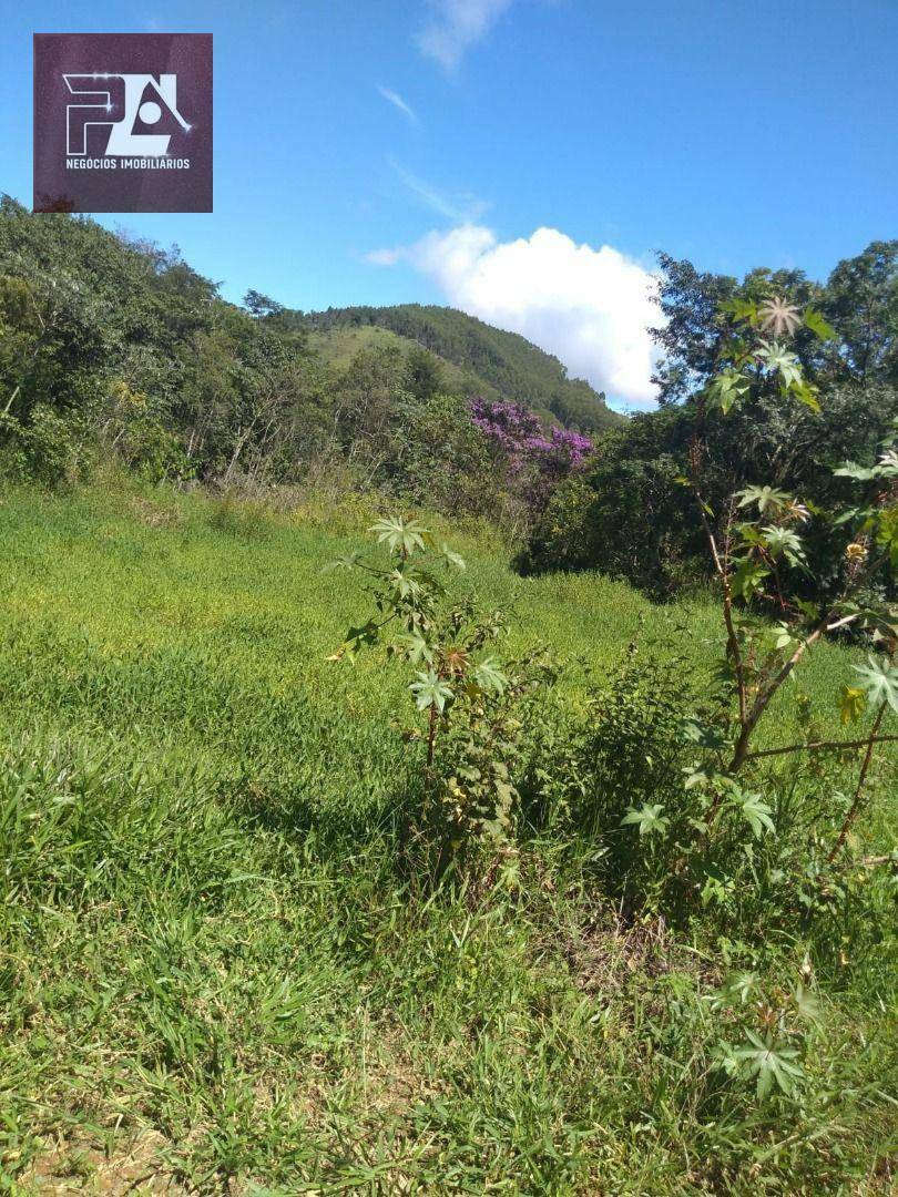 Fazenda à venda com 4 quartos, 1452000M2 - Foto 45