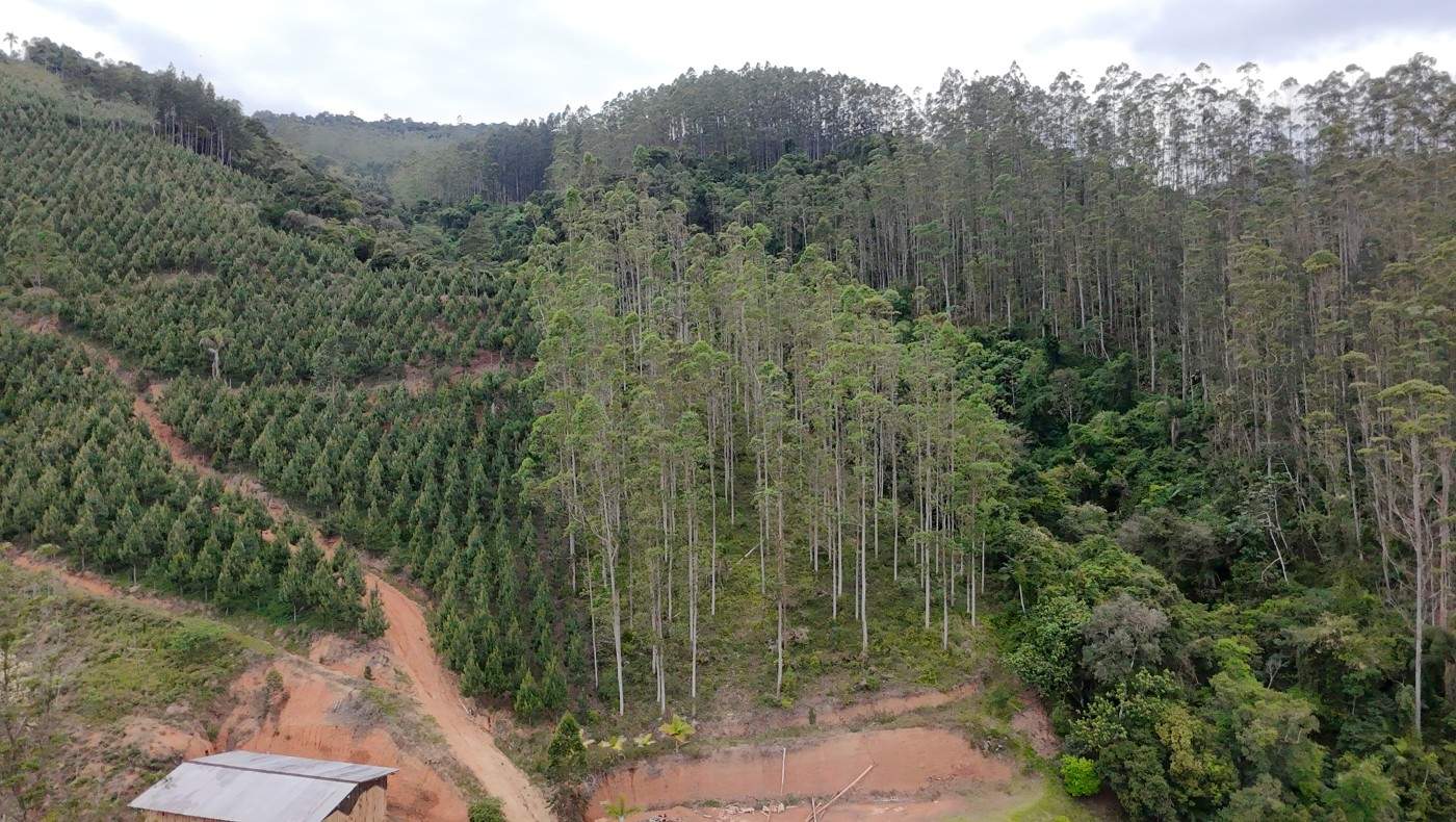 Terreno, 5428 m² - Foto 14