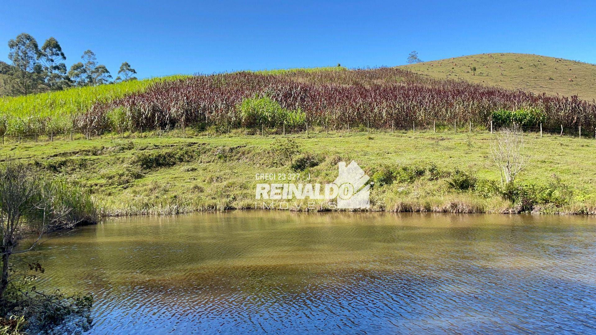 Fazenda à venda com 8 quartos, 900m² - Foto 5