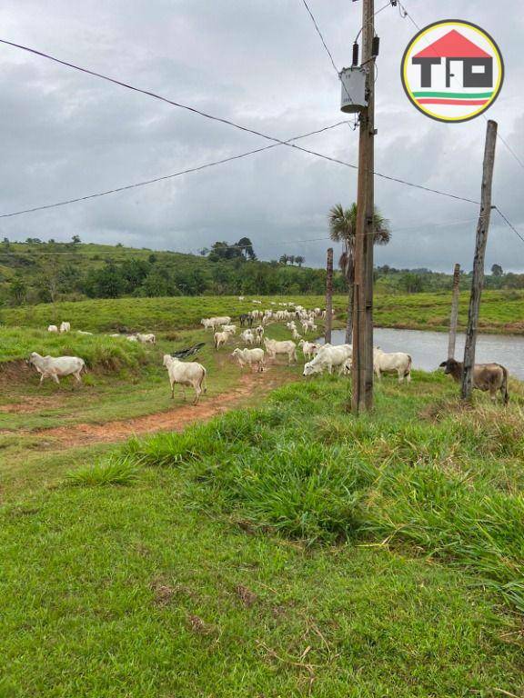 Fazenda à venda, 4114000M2 - Foto 16