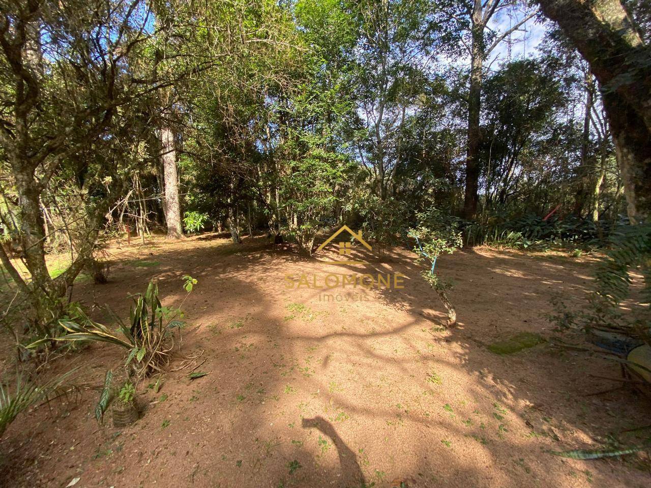 Sítio, 1 quarto, 10000 m² - Foto 5