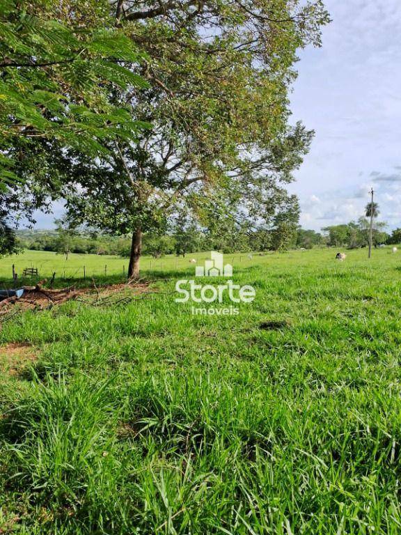 Fazenda à venda, 847000M2 - Foto 2